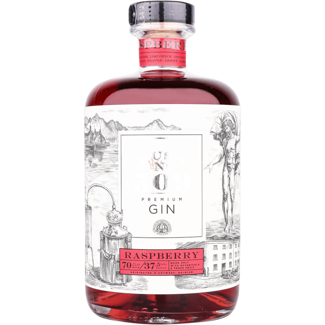 Gin Buss N509 Raspberry cl. 70