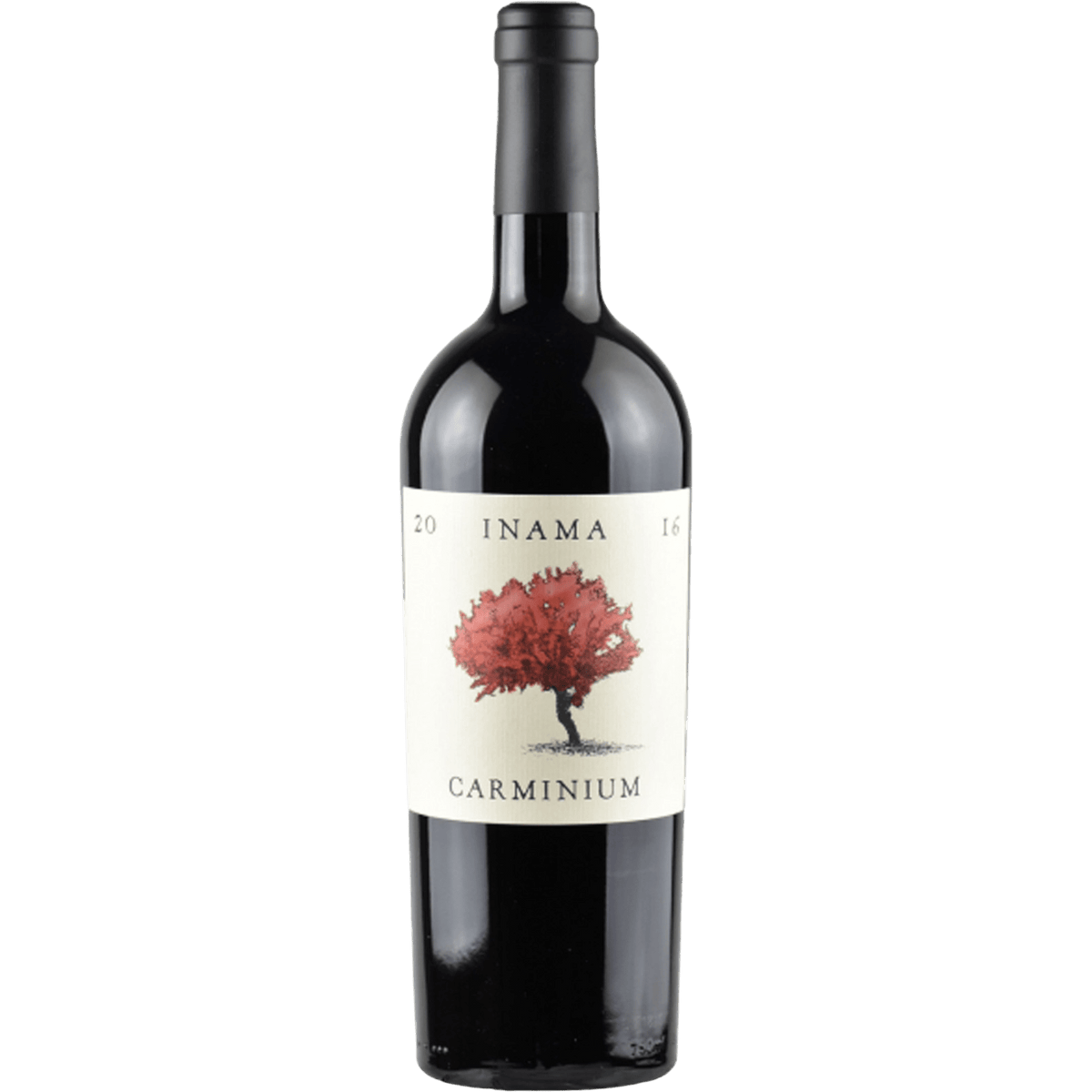 Inama Carminum Carmenere Colli Iberici Doc 2020