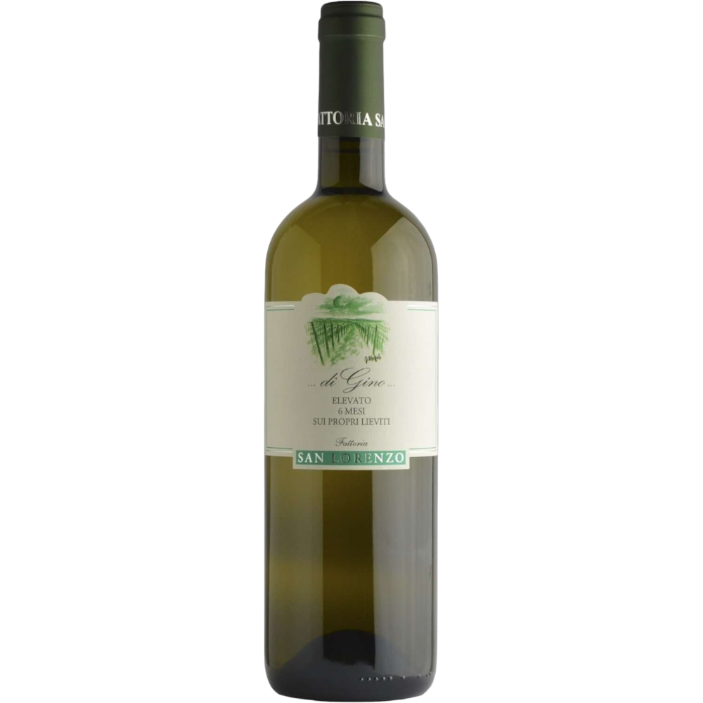 Fattoria San Lorenzo Di Gino Bianco Marche IGT 6 Mesi Sui Lieviti 2024