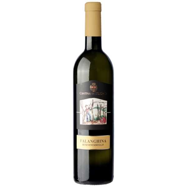 Solopaca Falanghina Sannio Doc 2025