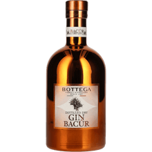 Gin Bottega Bacur Bottega cl. 70