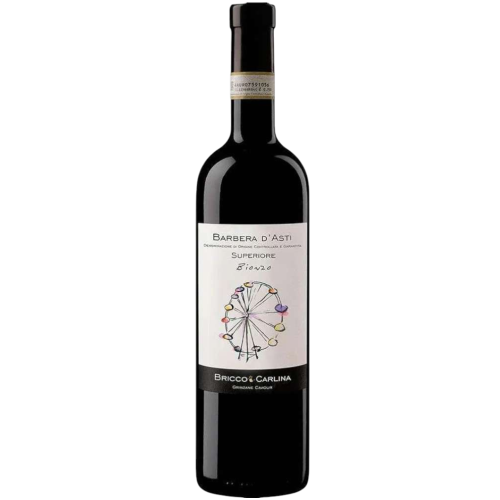Bricco Carlina Bionzo Barbera D'Asti Superiore Docg 2019