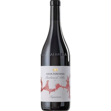 Livia Fontana Barbera D'Alba Superiore Doc 2019