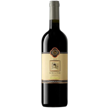 Camigliano Borgone Rosso Toscana Igt 2024