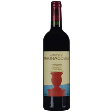 Franchetti Campo Di Magnacota Rosso Toscana Igt 2013