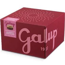 Galup Panettone con Amarene e Cioccolato 750g