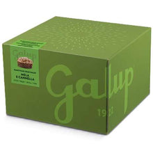 Galup Panettone Mela e Cannella 750g