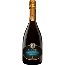 Fondazione Edmund Mach Riserva del Fondatore Trento DOC Brut