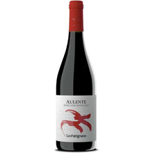 San Patrignano Aulente Rosso Igt