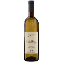 Fondazione Edmund Mach Pinot Grigio Trentino DOC 2024