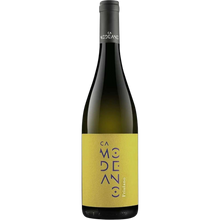 Modeano Friulano Friuli Grave DOC 2025