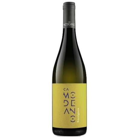 Modeano Sauvignon Friuli DOC 2024