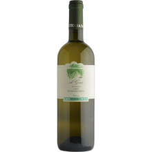 Fattoria San Lorenzo Di Gino Bianco Marche IGT 6 Mesi Sui Lieviti 2024
