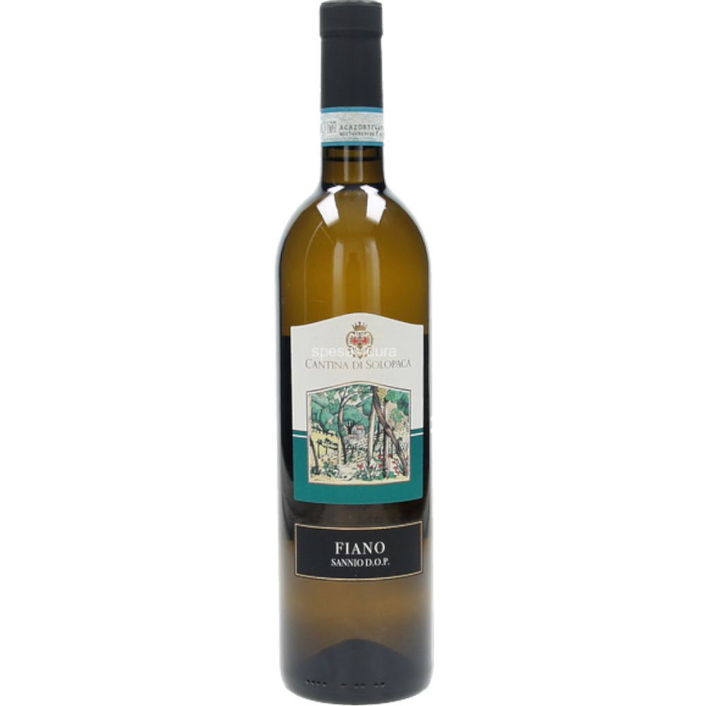 Solopaca Fiano Sannio Doc